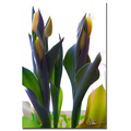 Trademark Fine Art Martha Guerra 'Tulips VII' Canvas Art, 16x24 MG0130-C1624GG